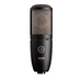 AKG P220 High Performance Large Diaphragm True Condenser Microphone