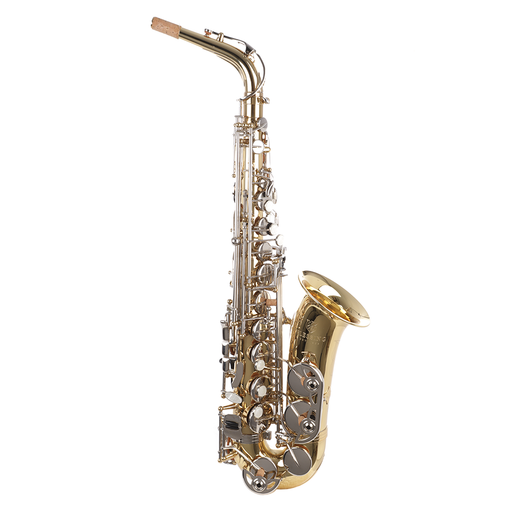 Blessing BAS-1287 Alto Saxophone Outfit - Gold Lacquer - Preorder