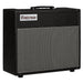 Friedman Twin Sister 40-Watt 1x12-Inch Tube Combo Guitar Amplifier - New